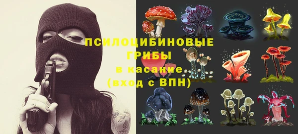 сатива Волосово